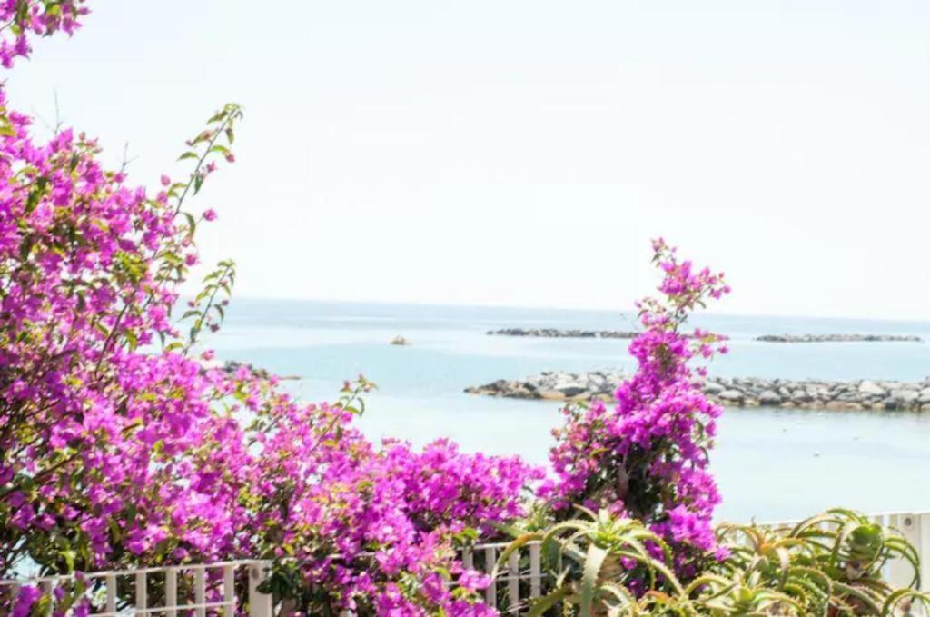 Casa Vacanza Rossella 圣雷默 外观 照片