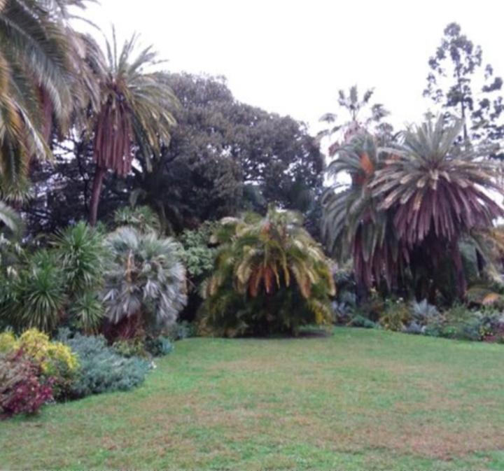 Casa Vacanza Rossella 圣雷默 外观 照片